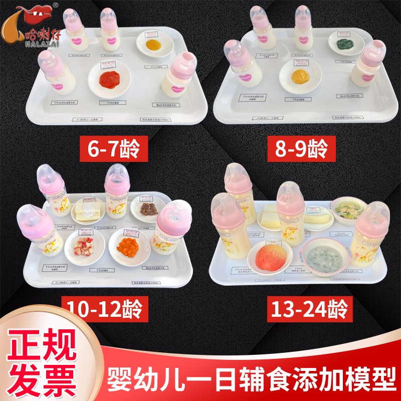婴幼儿辅食模型