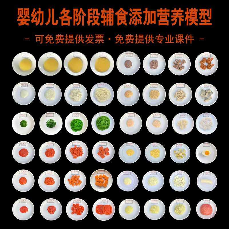 婴幼儿各阶段辅食添加营养模型