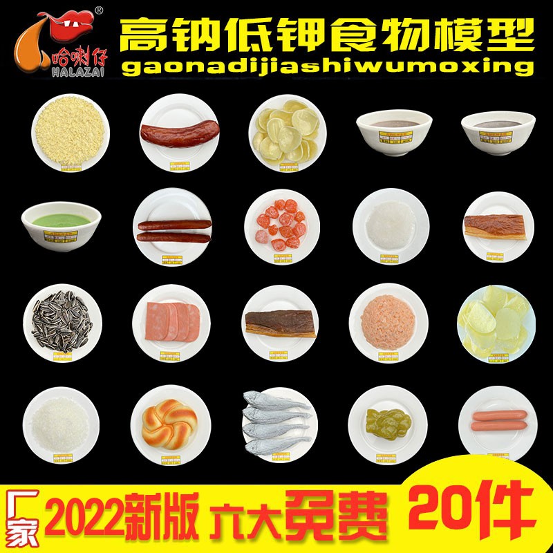 高钠低钾食物模型