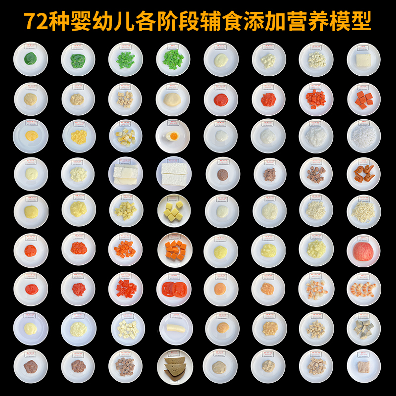 婴幼儿各阶段辅食添加营养模型