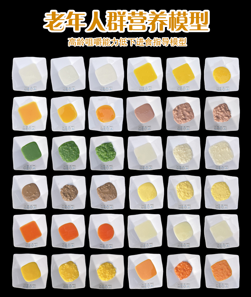 高龄老人吞咽困难进食食物状态模型