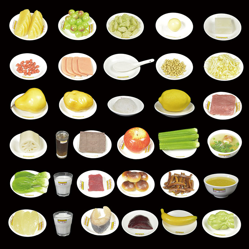 血透病人宜食 禁食食物模型