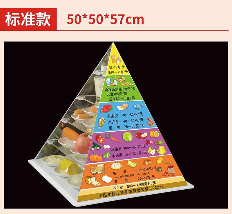 中国学龄儿童膳食宝塔模型