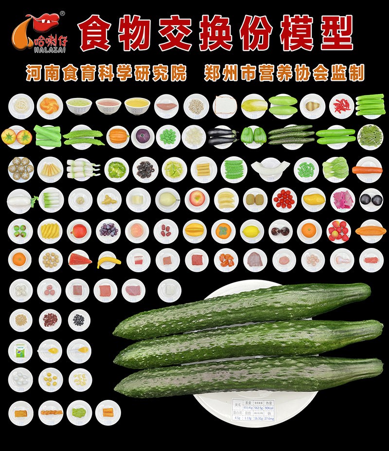食物交换份模型170件套