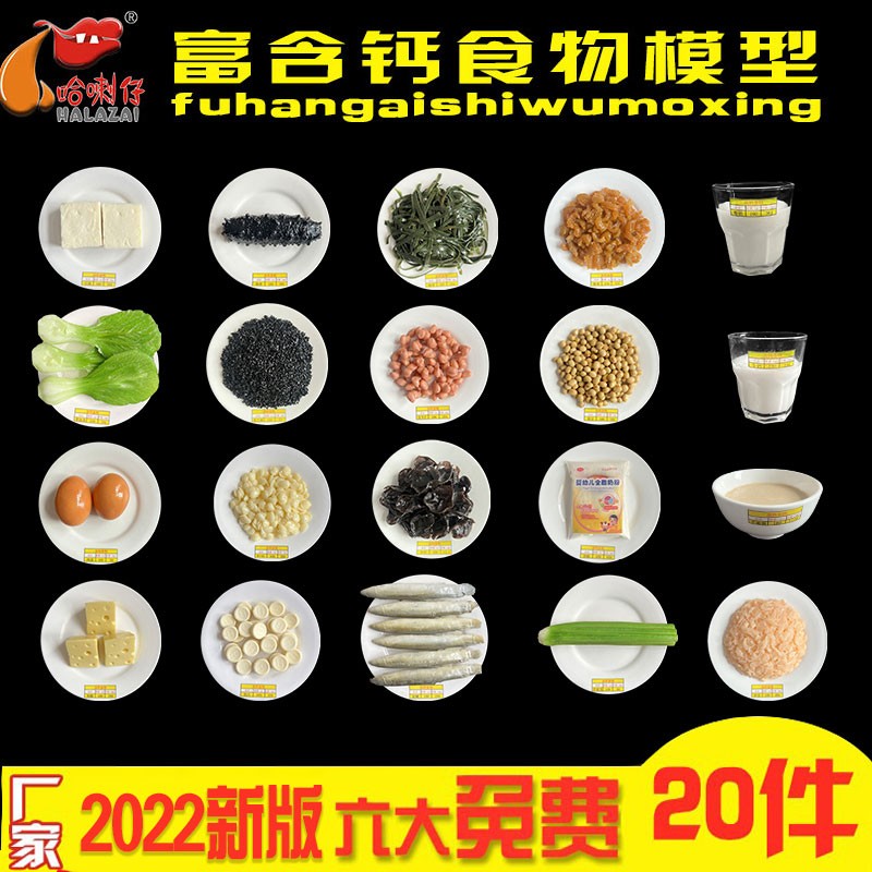 富含钙食物模型