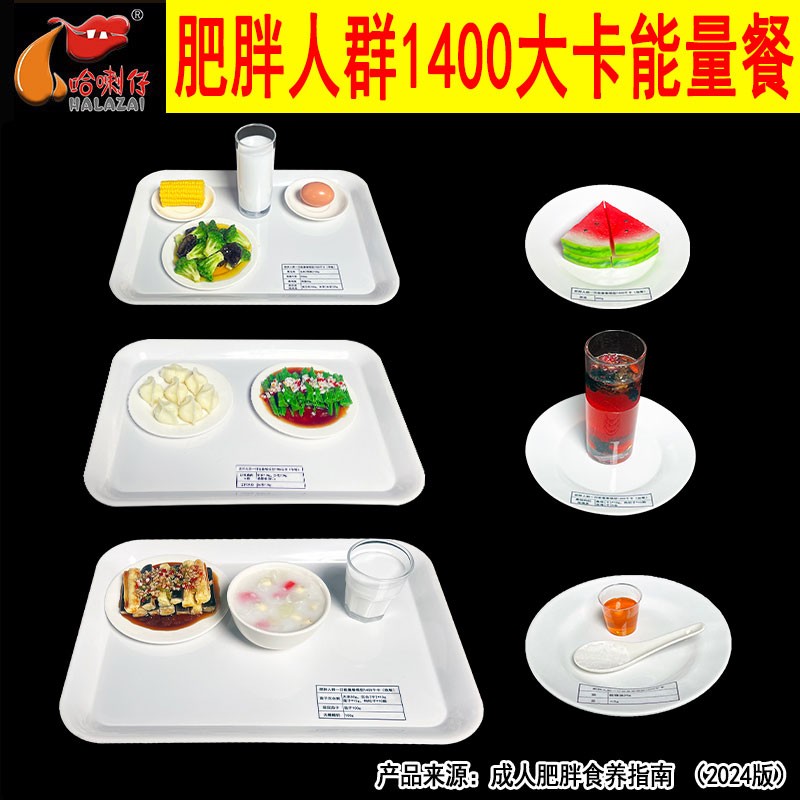 成人肥胖人群一日膳食食物模型