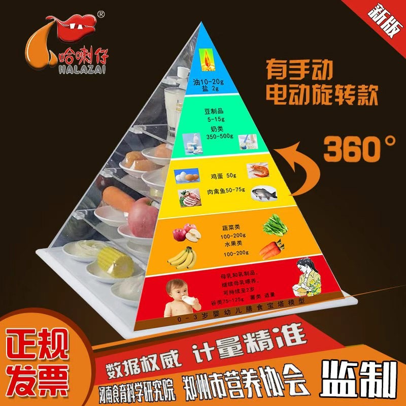 婴幼儿膳食宝塔模型
