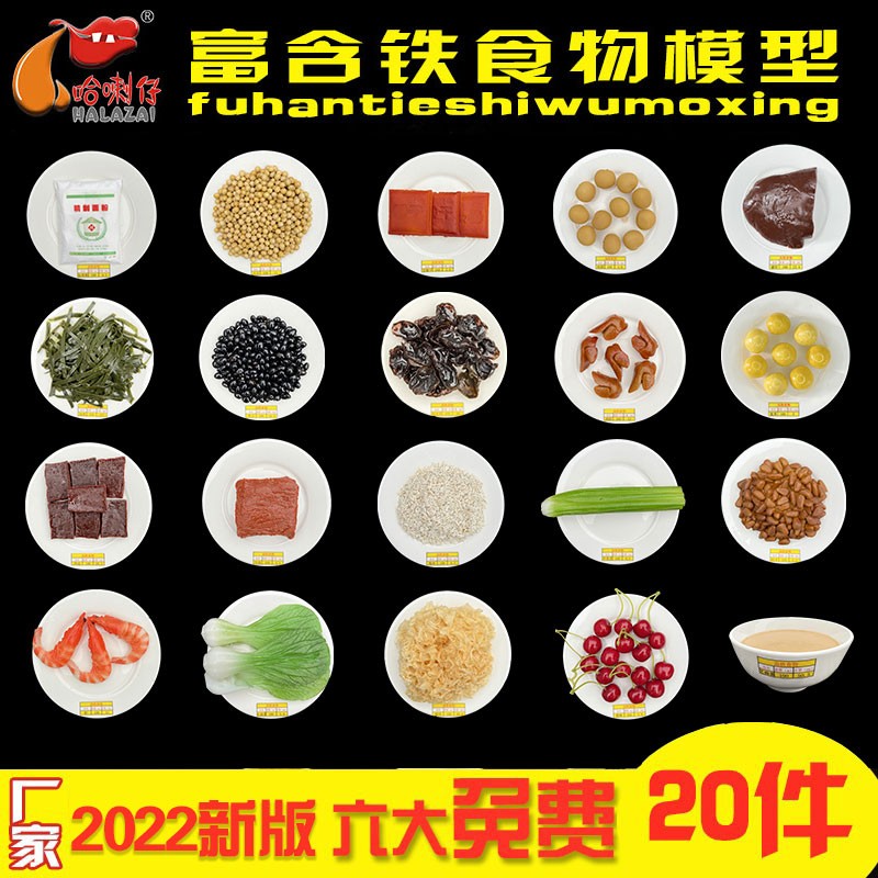 富含铁食物模型