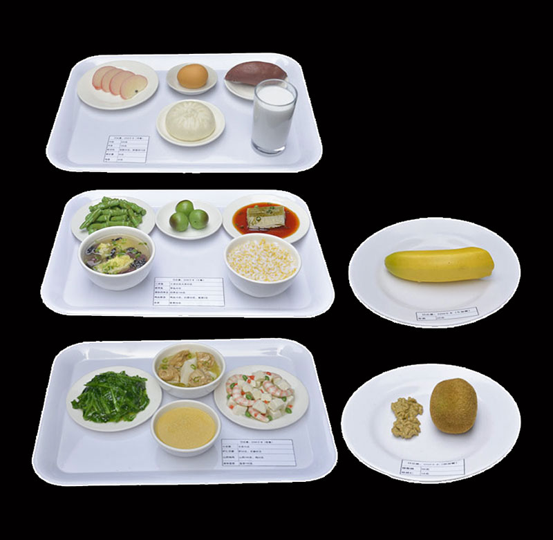 乳母一日膳食模型