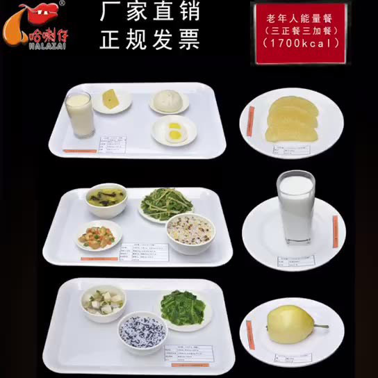 老年人能量餐模型1700大卡模型