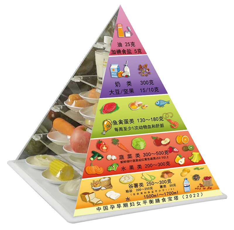 中国孕早期妇女膳食宝塔模型