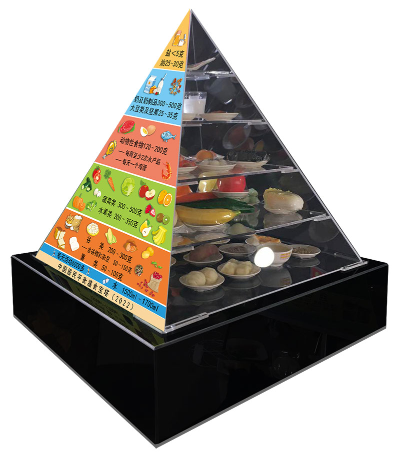 超大定制1米膳食宝塔