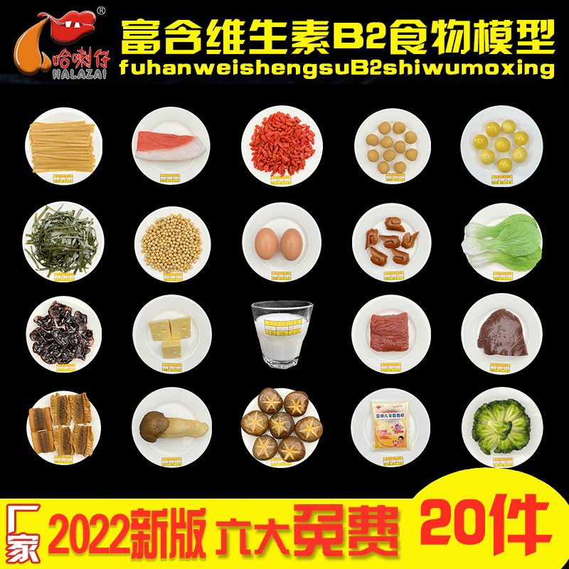 富含B2食物模型