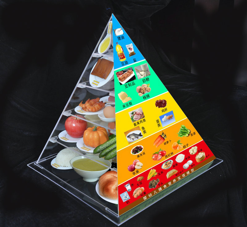 肺结核患者要怎么饮食？膳食宝塔模型公司告诉你